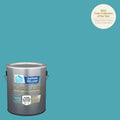 Flat Exterior Paint 1 Gallon A491