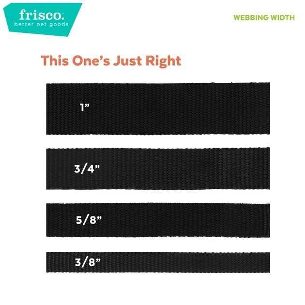 Solid Nylon Dog Leash B2322