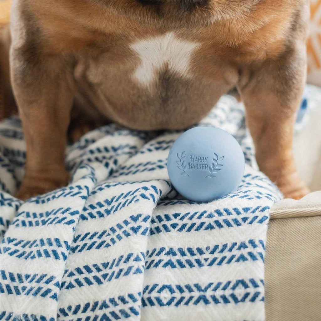 Rubber Balls and Rubber Chew Stick W909477