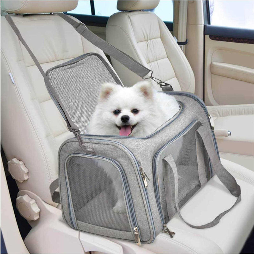 Pet Carrier H8420