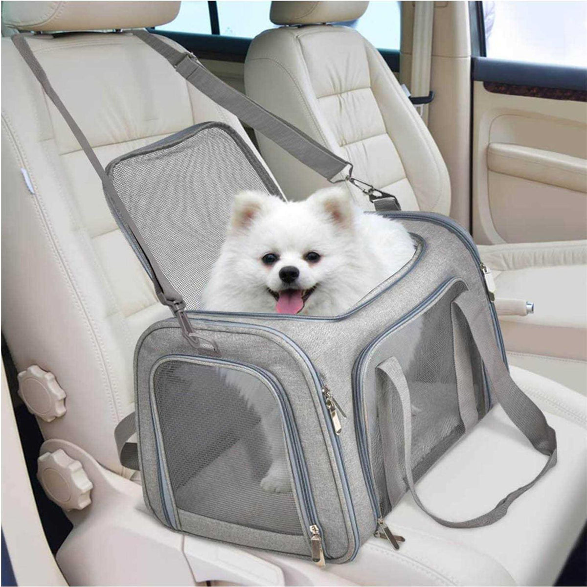 Pet Carrier H8420