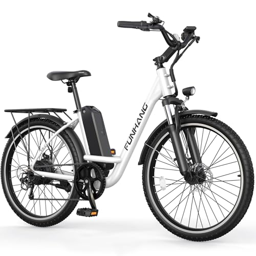 26" 1000W Peak Electric Bicycle with 48V 374.4WH Removable Battery H156
