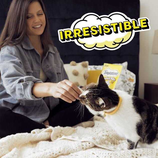 Adult Cat Treats U795