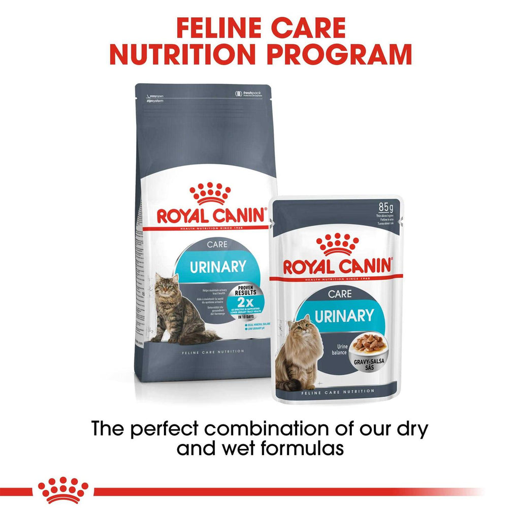 Wet Cat Food J5141
