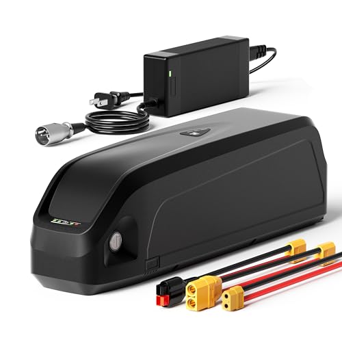 48V 20Ah Li-ion Battery Pack for Electric Bike F1260