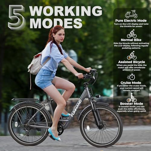 26" 1000W Peak Electric Bicycle with 48V 374.4WH Removable Battery H156