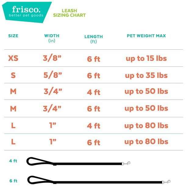 Solid Nylon Dog Leash B2322