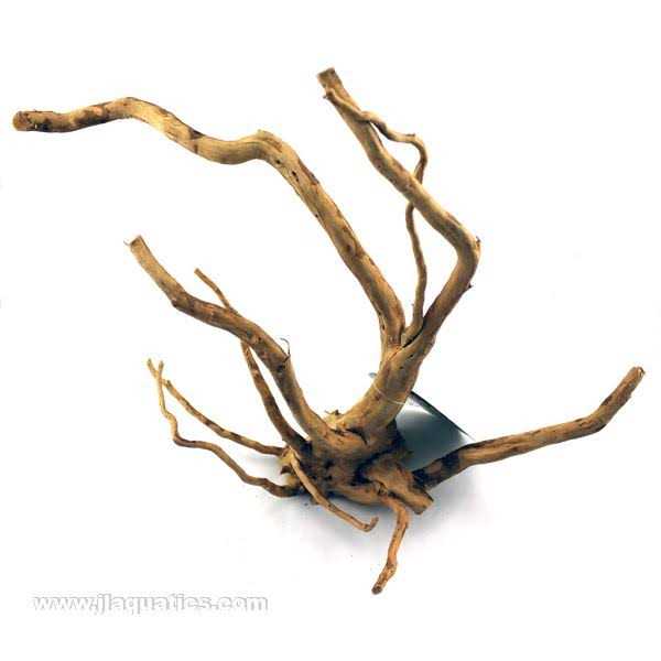 Spider Wood H2786