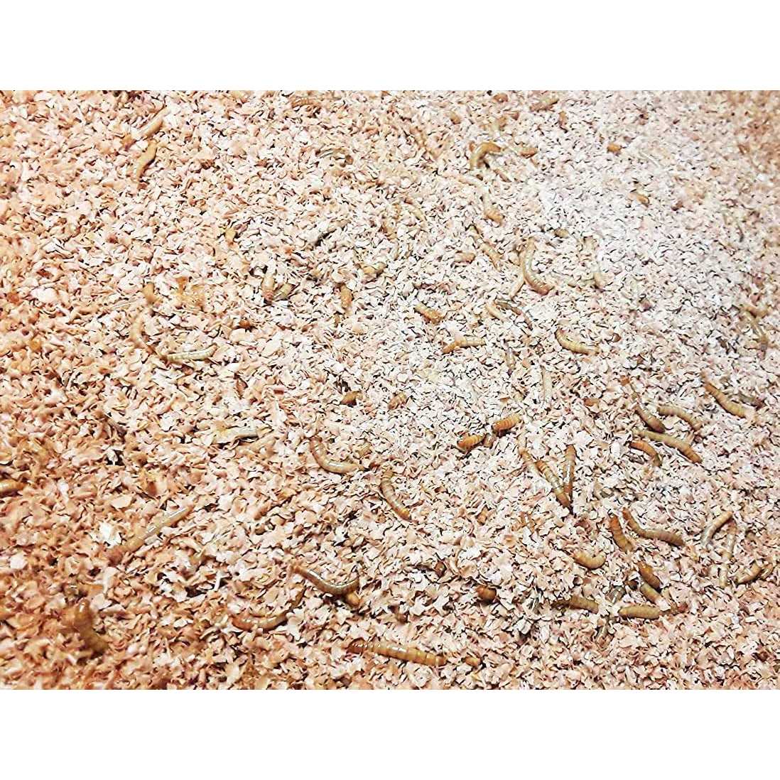 Mealworm and Superworm Bedding K24596