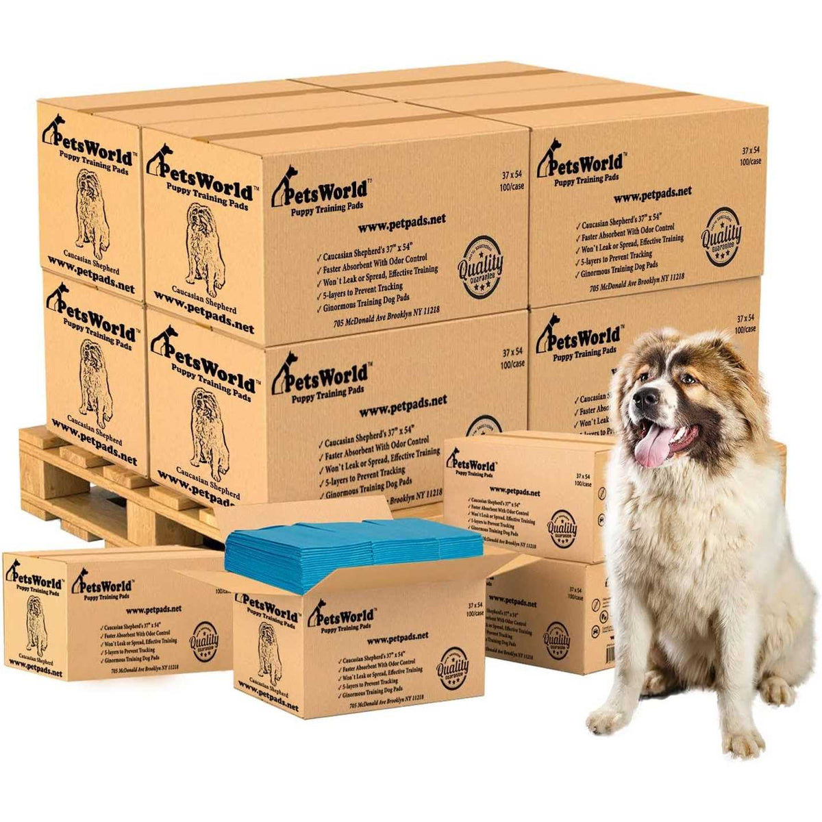 Pet Potty Pads Xxxl Tear Resistant Q300