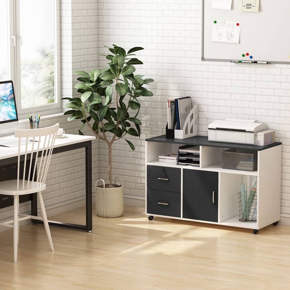 Black & White 2 Drawer Mobile File Lateral Cabinet B855392