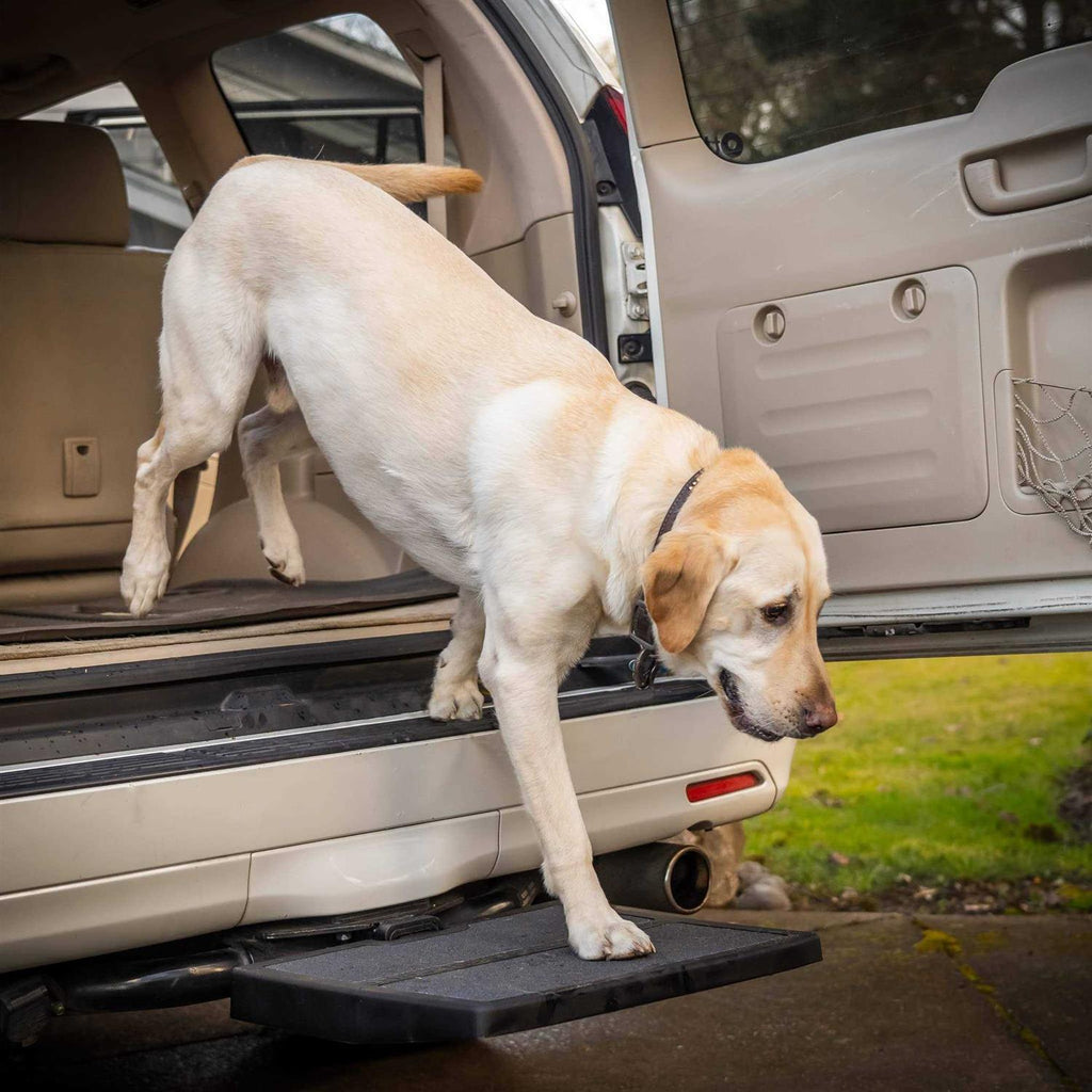 Car Pet Ramp V651968