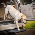 Car Pet Ramp V651968