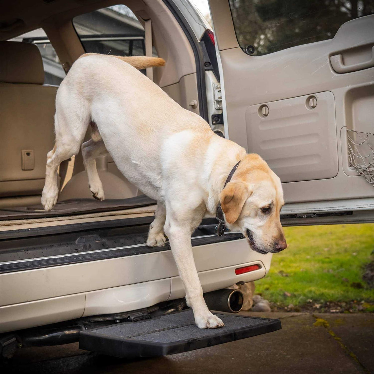 Car Pet Ramp V651968