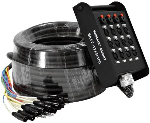 12 Channel 100' XLR Snake Cable with 1/4 Returns W6387