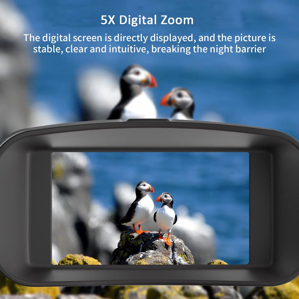 Night Vision Binoculars with 32GB SD Card 36MP 4K 5x Zoom X266