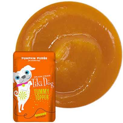 Pumpkin Ginger Dog Food Topper B648019