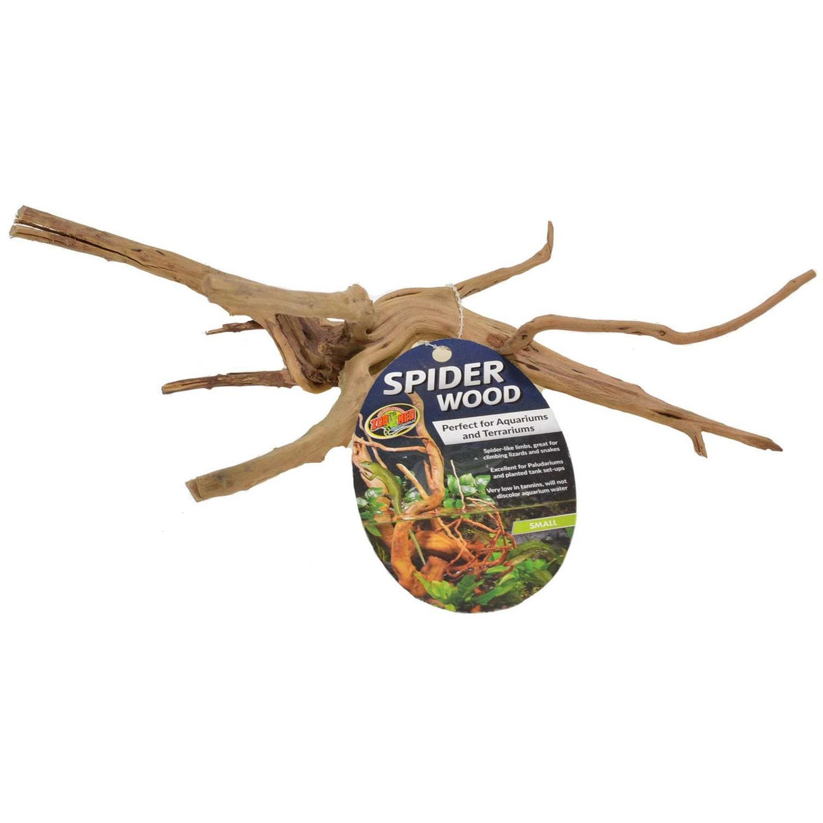 Spider Wood H2786