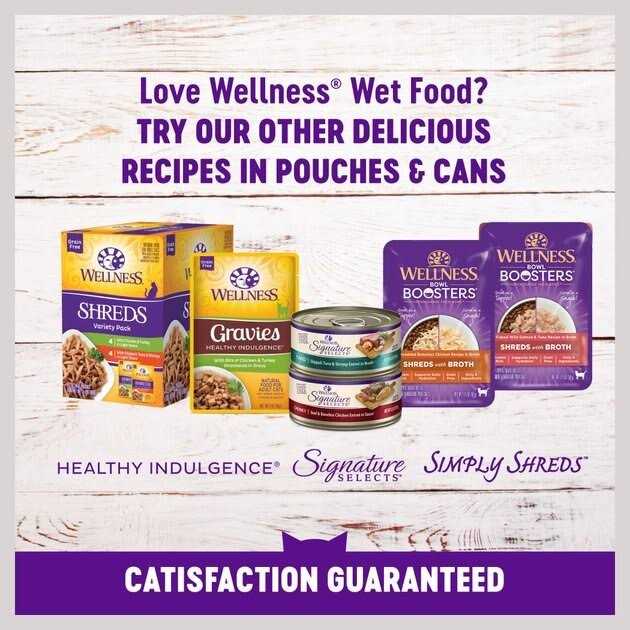 Natural Grain Free Gravy Cat Food Pouch Y89609