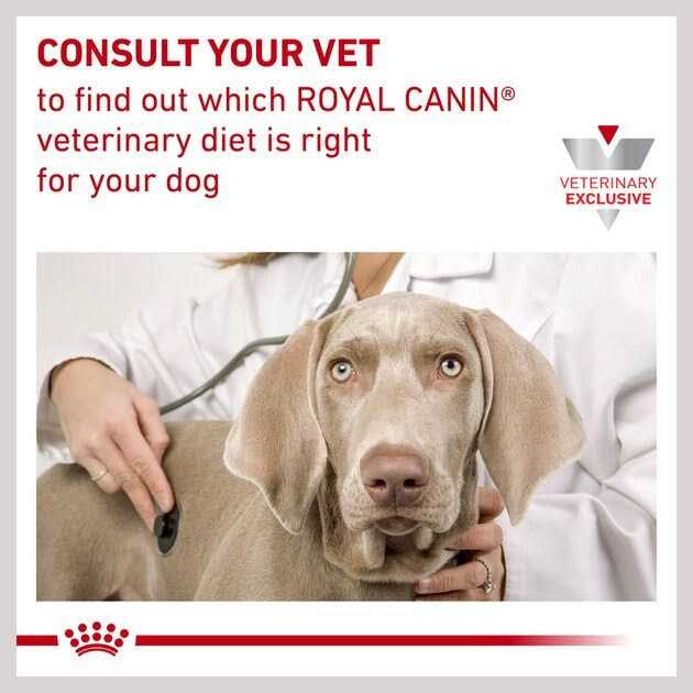 Hydrolyzed Protein Loaf Canned Dog Food S98900