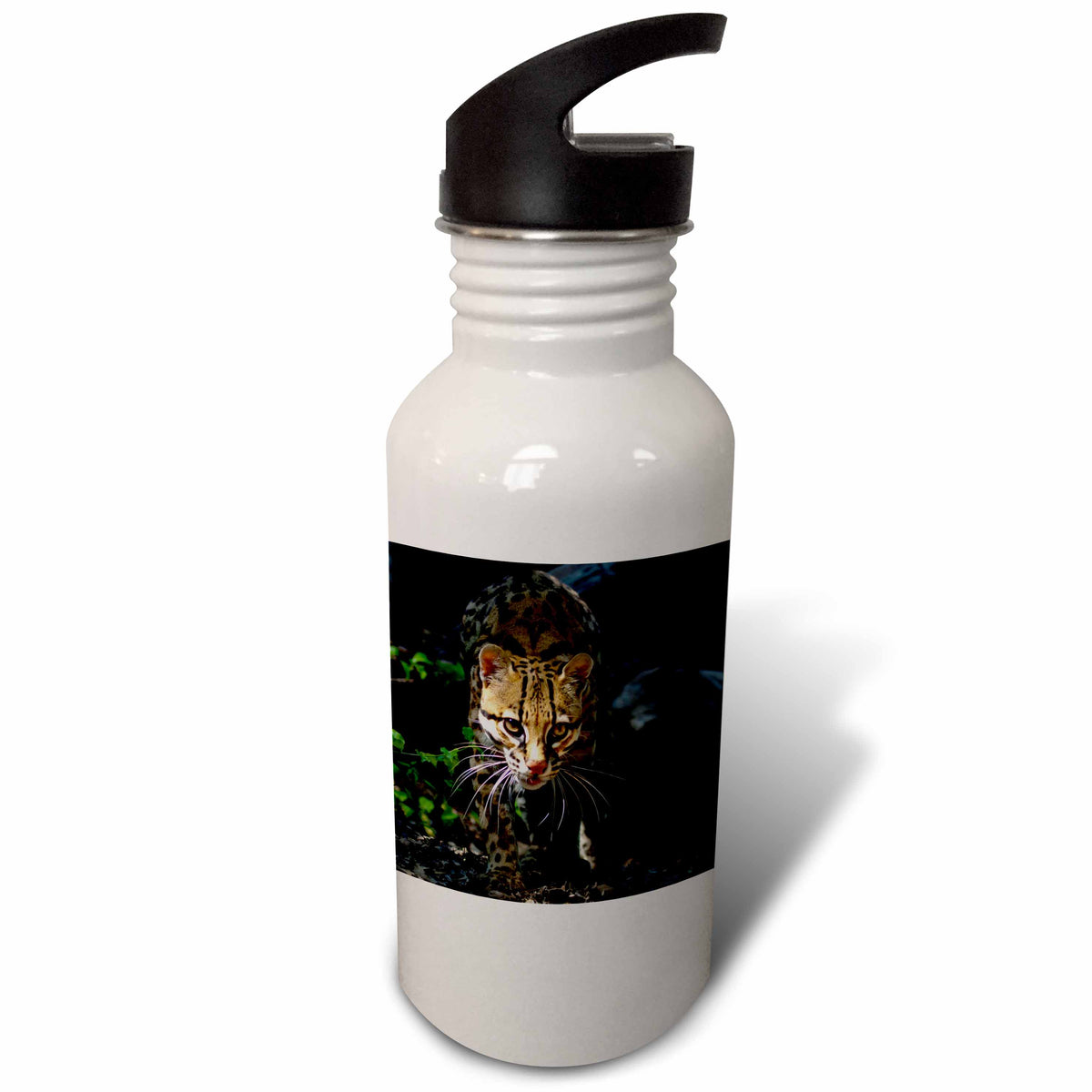 21 oz Sports Water Bottle K8518