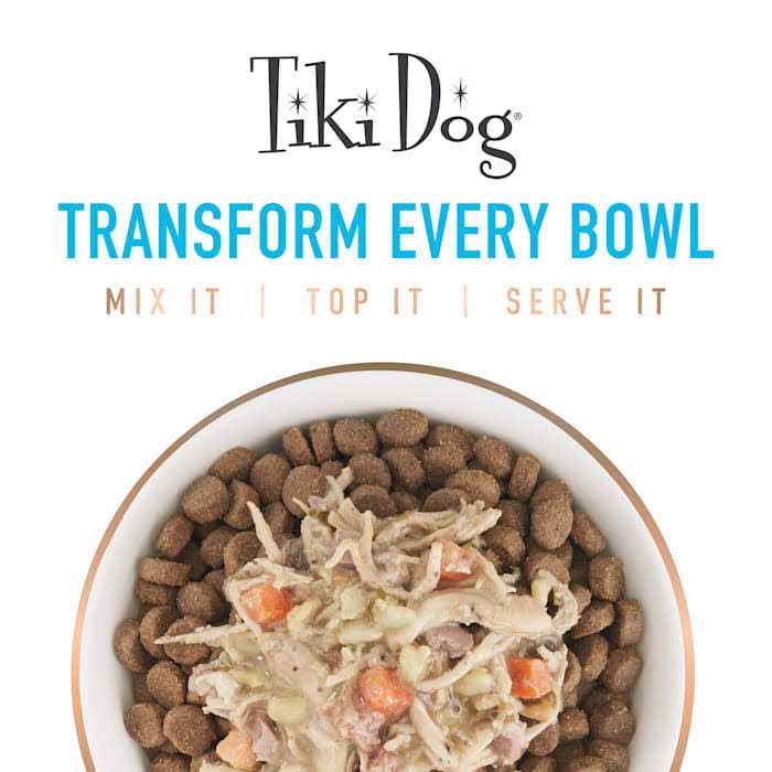 Pumpkin Ginger Dog Food Topper B648019