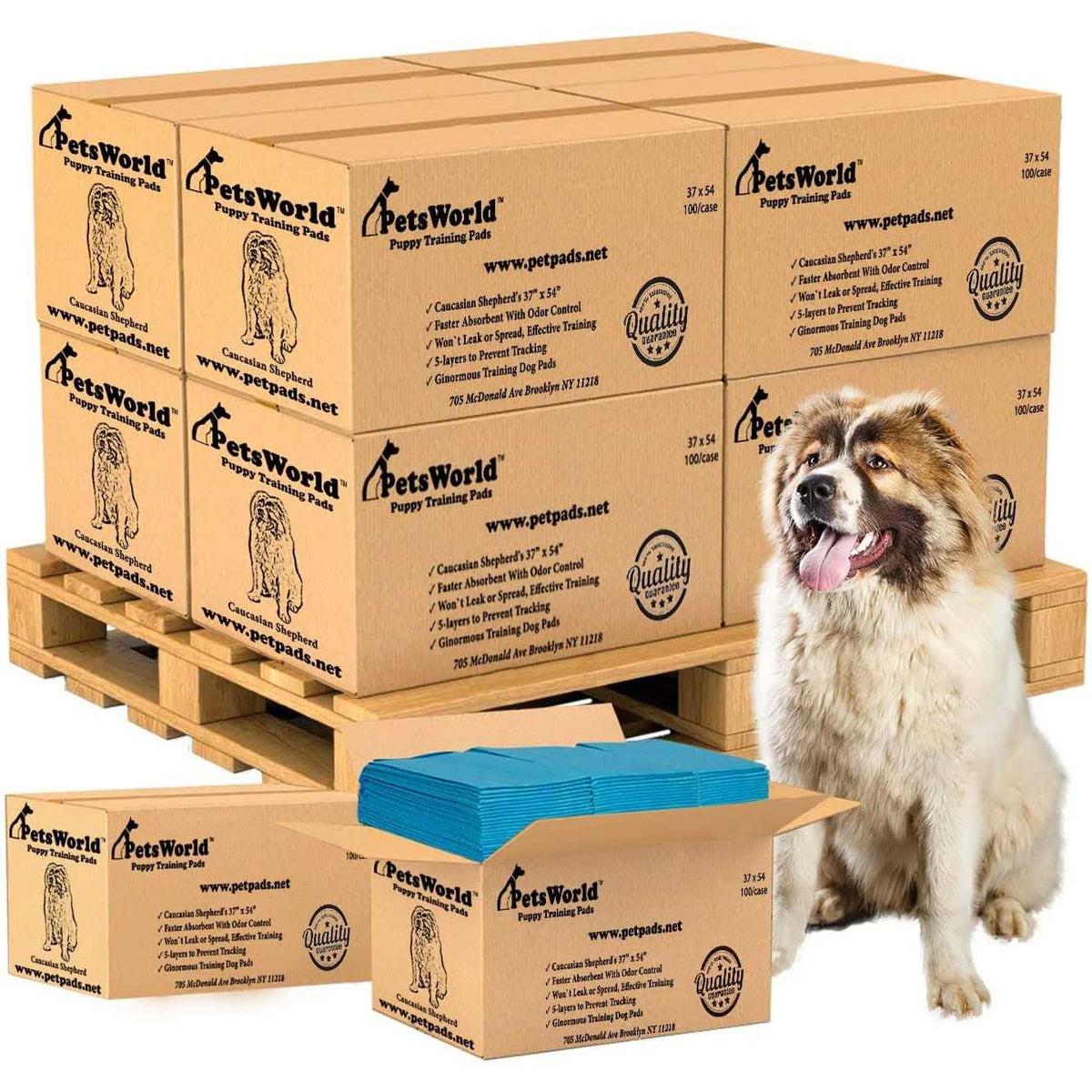 Pet Potty Pads Xxxl Tear Resistant Q300