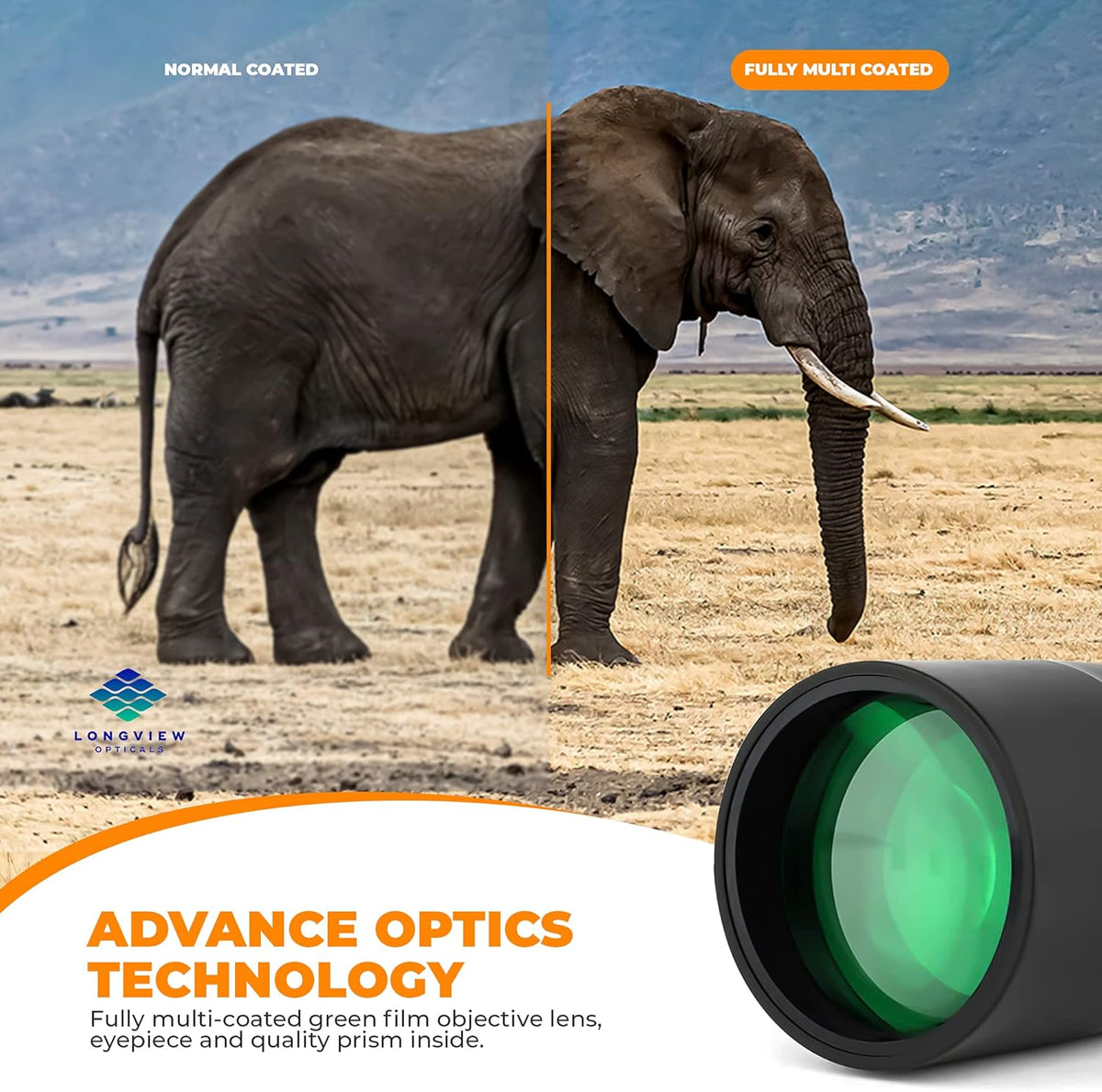 Bird Spotting Scope with Tripod and Phone Adapter L250360