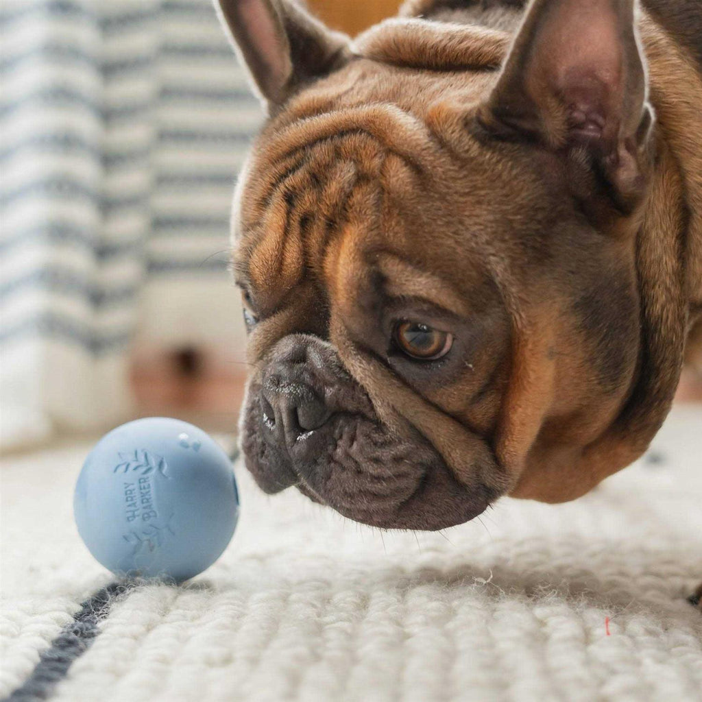Rubber Balls and Rubber Chew Stick W909477