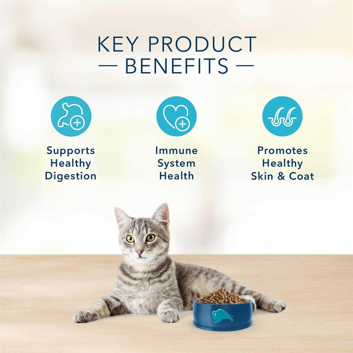 Grain-Free Adult Indoor Dry Cat Food H843