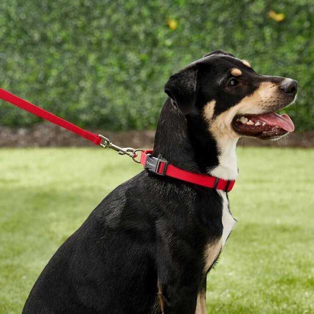 Solid Nylon Dog Leash B2322