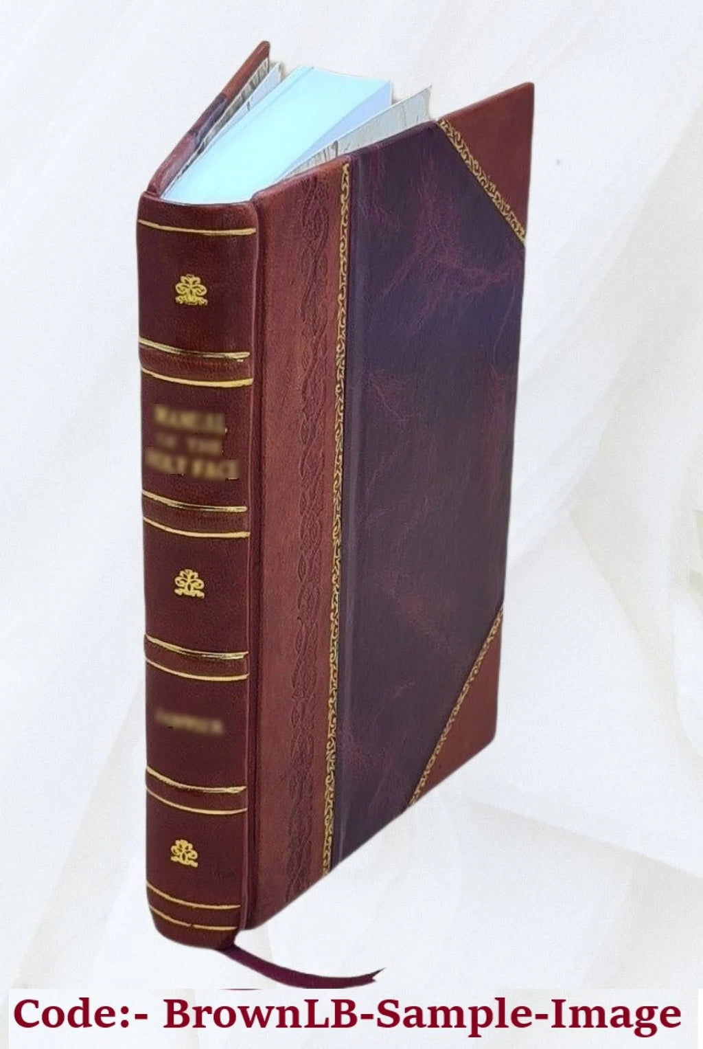 Leather Bound Q155018