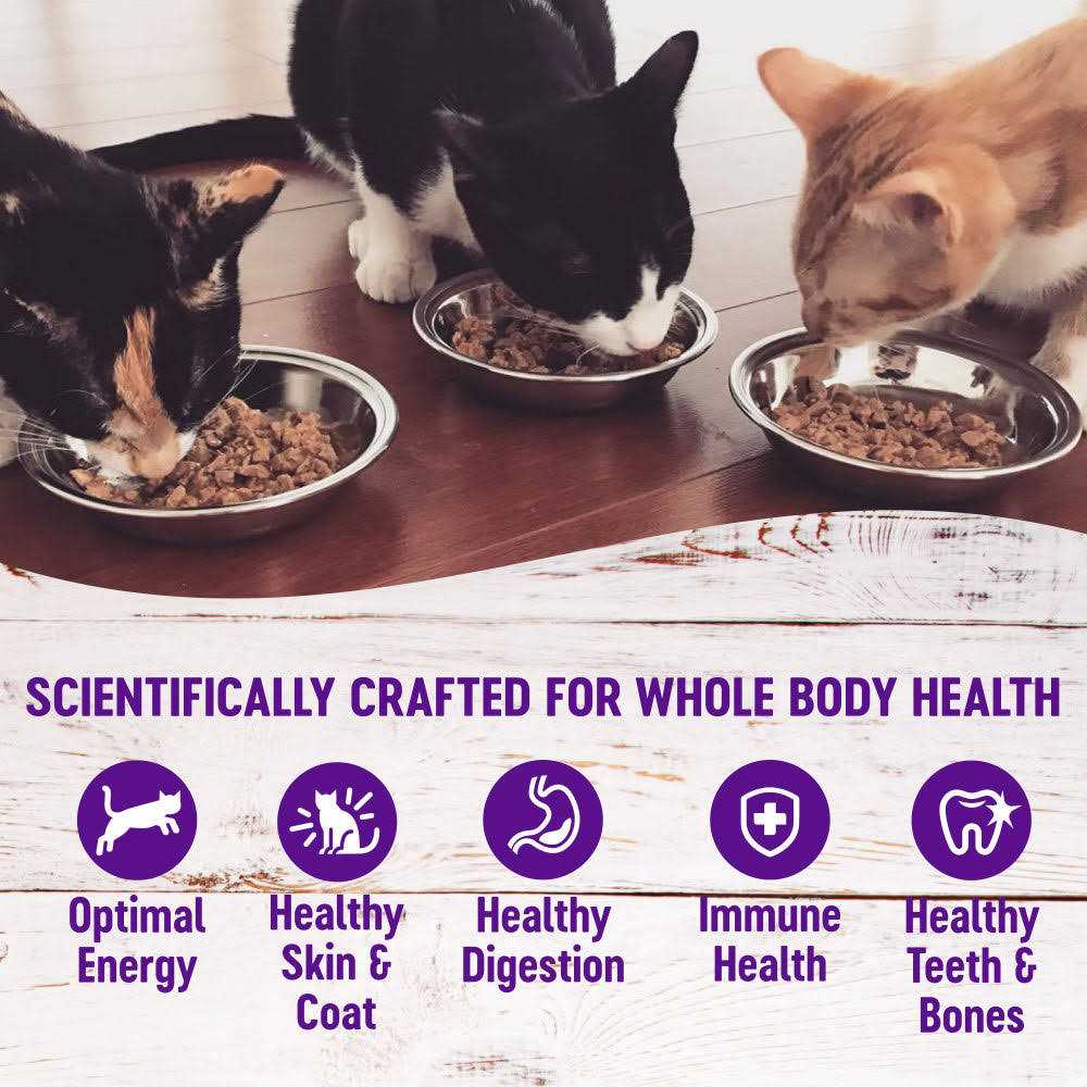 Natural Grain Free Gravy Cat Food Pouch Y89609