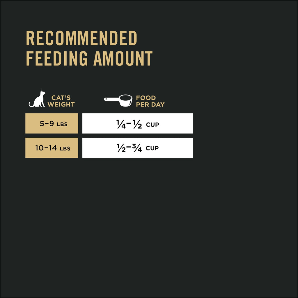 Lamb and Rice Cat Food 7 lb. Bag B2800