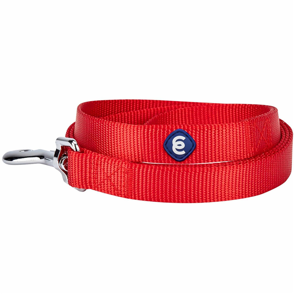 Classic Dog Leash P14662