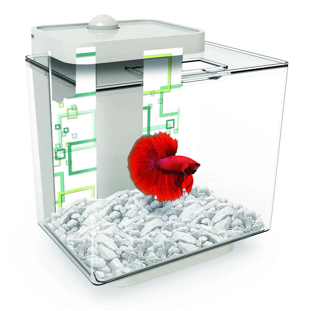 Betta Aquarium Kit P523
