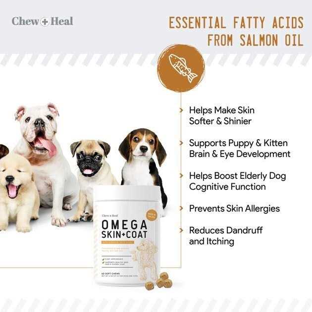 Omega Skin + Coat Supplement Z227
