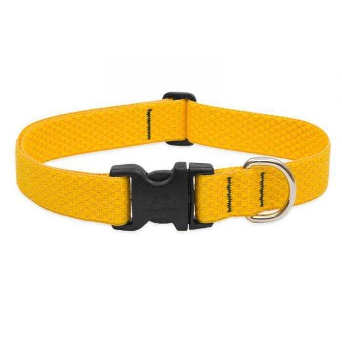Dog Collar N14206