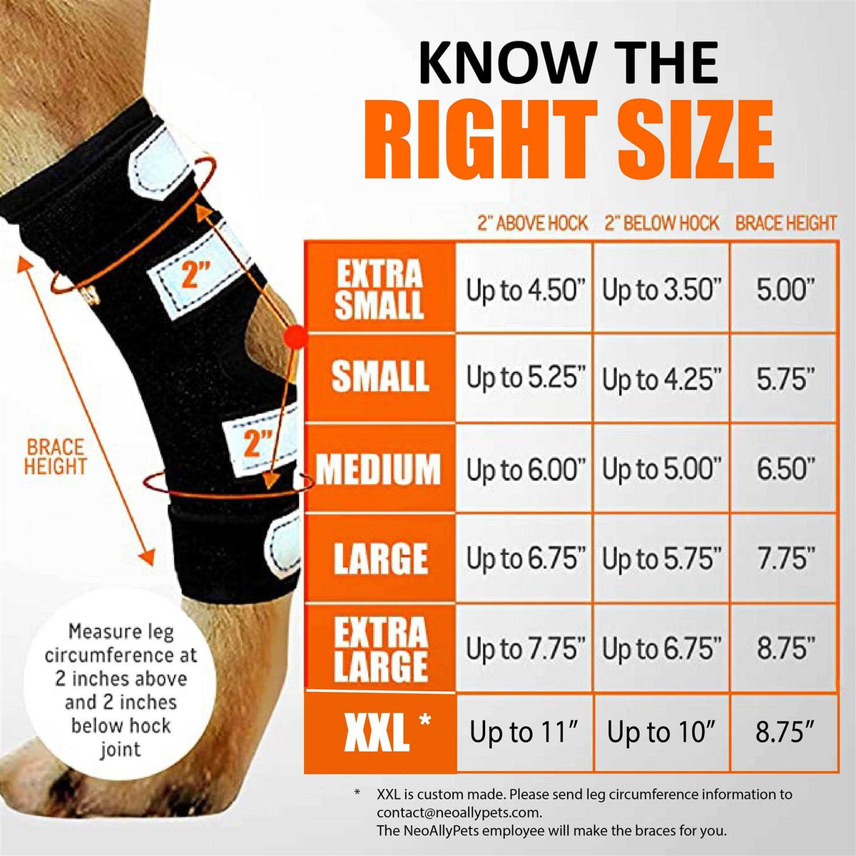 3-in-1 Long Rear Leg Support Dog Splint Braces H838816