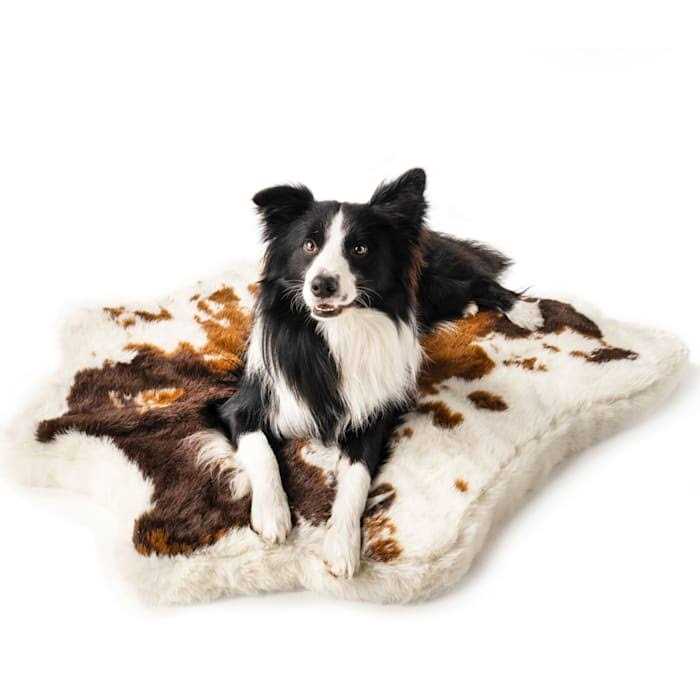 Animal Print Memory Foam Dog Bed D4455