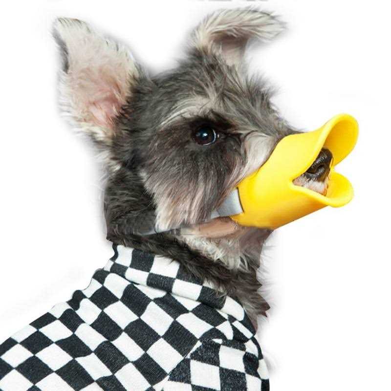 Anti Bite Dog Mouth Covers Muzzle Masks T845155