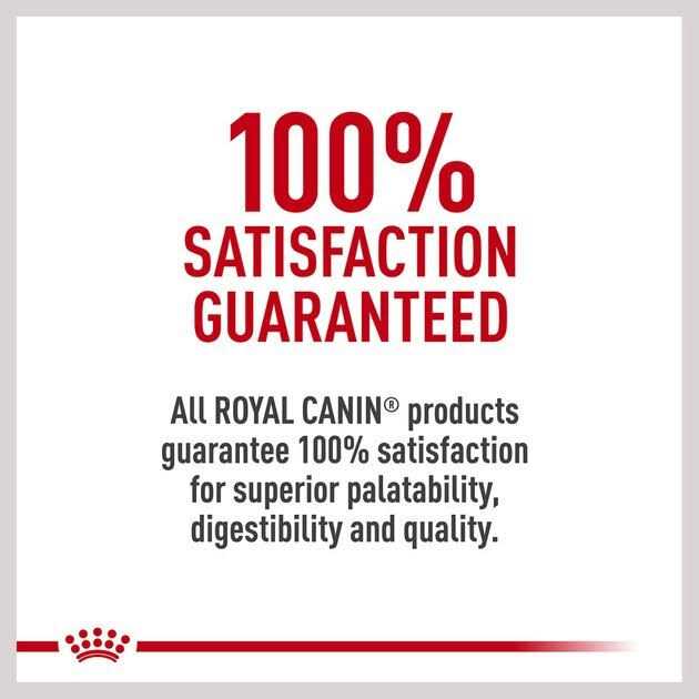Adult Dry Dog Food L4996
