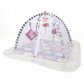 Blue Cat Activity Gym J9835